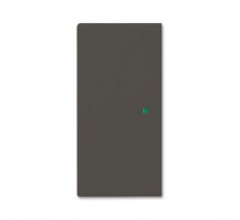 SR-2-95 Клавиша двойная free@home, Basic 55, цвет chateau-black  6220-0-0691   2CKA006220A0691  ABB
