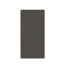 SR-2-95 Клавиша двойная free@home, Basic 55, цвет chateau-black  6220-0-0691   2CKA006220A0691  ABB