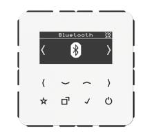 Цифровое радио DAB + с поддержкой Bluetooth DABCDBTWW Jung