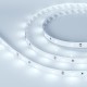 Лента светодиодная ULTRA-5000 12V Cool 8K (5630, 150 LED, LUX)  013852  Arlight
