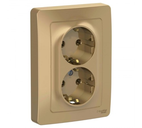 Blanca Титан С/У Розетка 2-ая с заземлением без шторок, 16А, 250В  BLNRS001024  SE