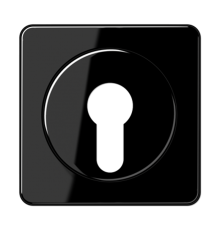 Крышка для выключателя с замком; черная  CD528SW  Jung