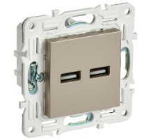 SKANDY Розетка USB A+A 3,1А SK-R15Sh шампань  SK-U21-D31-K37  IEK