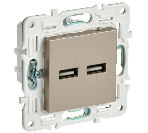 SKANDY Розетка USB A+A 3,1А SK-R15Sh шампань  SK-U21-D31-K37  IEK