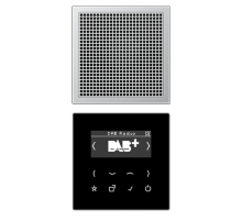 Цифровое радио DAB DABAL1 Jung