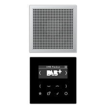 Цифровое радио DAB DABAL1 Jung