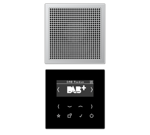 Цифровое радио DAB DABAL1 Jung