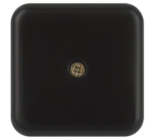 Распаячная коробка  BS-B-50-50-20 50х50х20мм без клеммы черная IP40 BS-B-50-50-20  Б0061810  ЭРА