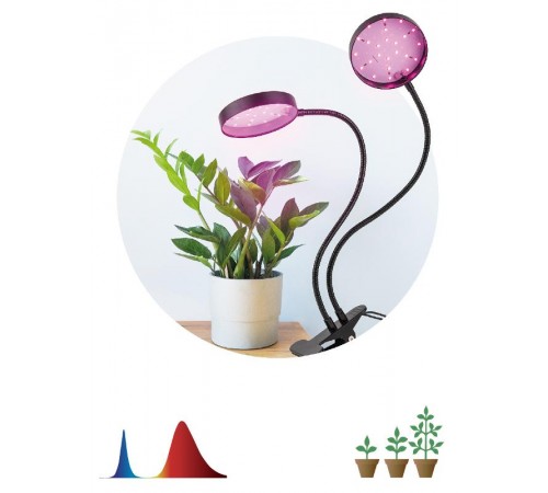 Светильник для растений на прищепке FITO-20W-АLED-R красно-синего спектра 20 Вт черный  Б0053290  ЭРА