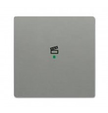 Клавиша одинарная free@home, сцена, future, цвет meteor/серый металлик6220-0-0553 ABB