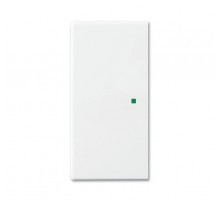 SR-2-94 Клавиша двойная free@home, Basic 55, цвет альпийский белый  6220-0-0674   2CKA006220A0674  ABB