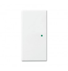 SR-2-94 Клавиша двойная free@home, Basic 55, цвет альпийский белый  6220-0-0674   2CKA006220A0674  ABB