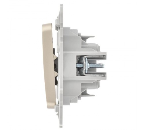 FLITE Выключатель 2-клавишный 10А ВС12-1-0-ФлШ шампань  FI-V20-0-10-1-K37  IEK