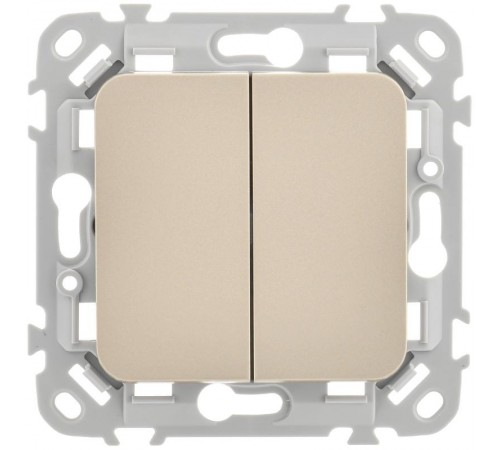 FLITE Выключатель 2-клавишный 10А ВС12-1-0-ФлШ шампань  FI-V20-0-10-1-K37  IEK