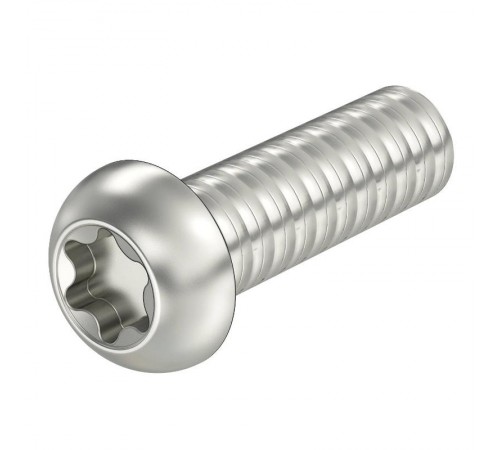 Болт с полукруглой головкой M6x20mm (7380T M6x20 A2)  3164972  OBO Bettermann