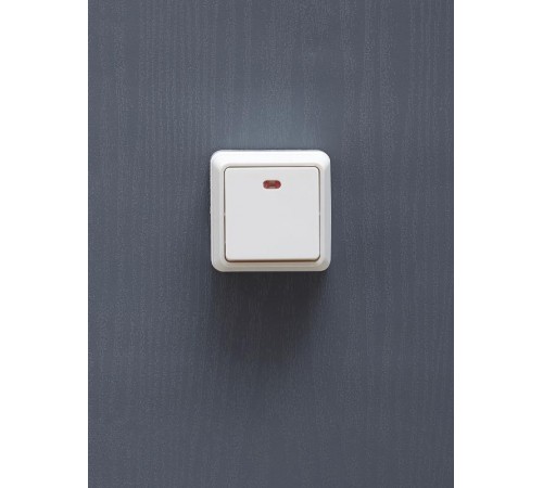 ОКТАВА белый Выключатель 1-клавишный с индикацией О/У 10А ВС20-1-1-ОБ EVO11-K01-10-DC  GENERICA