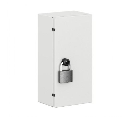 Накладка для навесного замка шкафов ST и CE, с личинкой под ключ сдвойной бородкой 3мм  R5CE222  DKC