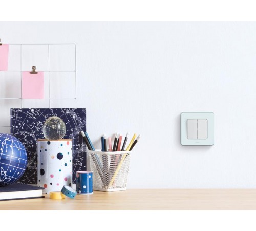 Inspiria Мятный Рамка 1-ая  673935  Legrand