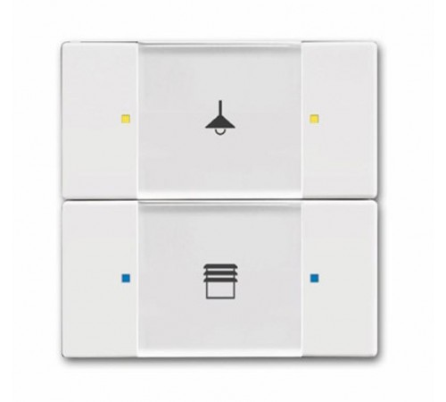 6126/02-84-500 Сенсор 2/4-кл. многофункциональный, альпийский белый  6116-0-0209  2CKA006116A0209  ABB