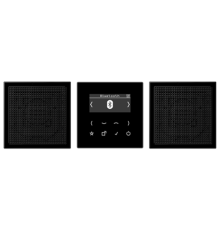 Смарт радио DAB+ Bluetooth, стерео; черный DABLS2BTSW Jung