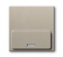 ABB Basic 55 Шампань Плата центральная (накладка)для механизма док-станции Busch-iDock 8218 U  8200-0-0159  ABB