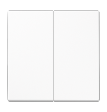 Центральная плата 2 группы стандарт; дюропласт; белый LS1702WW Jung