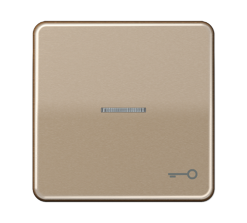 Клавиша с окошком и символом "ключ" для выключателей с подсветкой; золотая бронза  CD590KO5TGB  Jung