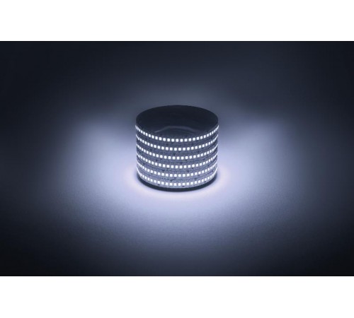 Лента светодиодная  LS2835 -19,2-240-12-6500K-IP20-1 year-5m холодный белый 5м  Б0059908  ЭРА