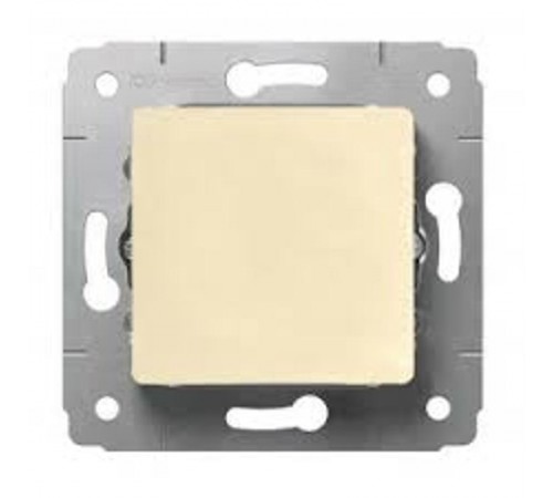 Cariva Сл. кость Выключатель 1-клавишный  773756  Legrand