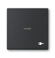 Клавиша для механизма 1-клавишного выключателя, с прозрачной линзой, c символом ""ВИЛКА"" Future/Axcent/Carat/Династия, черный барх  2CKA001751A3164