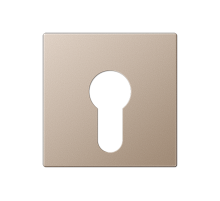 Крышка для выключателя с замком; шампань  A525PLCH  Jung