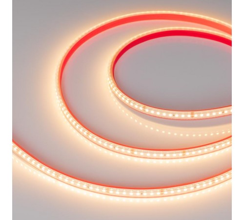Лента светодиодная герметичная RTW-PS-A160-10mm 24V Warm2700 (12 W/m, IP67, 2835, 5m) (arlight, высок.эфф.150 лм/Вт)  024545(2)  Arlight