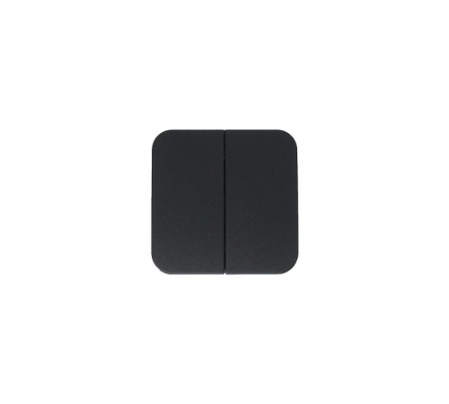 Blanca Антрацит О/У с изолирующей пластиной Выключатель 2-клавишный 10А, 250B  BLNVA105016  SE