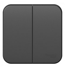 Blanca Антрацит О/У с изолирующей пластиной Выключатель 2-клавишный 10А, 250B  BLNVA105016  SE