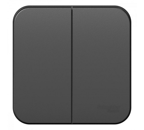 Blanca Антрацит О/У с изолирующей пластиной Выключатель 2-клавишный 10А, 250B  BLNVA105016  SE