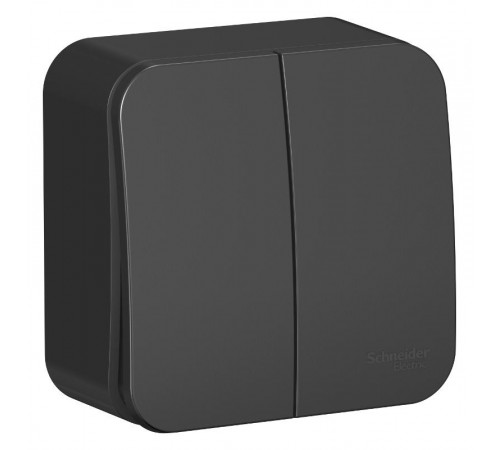 Blanca Антрацит О/У с изолирующей пластиной Выключатель 2-клавишный 10А, 250B  BLNVA105016  SE