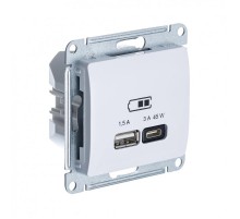 Glossa Белый USB Розетка A + тип-C 45W высокоскорост. зарядка QC PD  GSL000129  SE