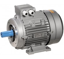 Эл.двиг. 3ф АИС 132MB6 660В 5,5кВт 1000об/мин 2181  ONS132-B6-005-5-1021-2  ONI