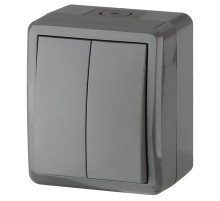 Выключатель 2-клавишный IP54, 10АХ-250В, 11-1404-03, ОУ, Эксперт, Серый Б0020676  ЭРА