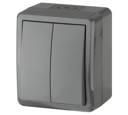 Выключатель 2-клавишный IP54, 10АХ-250В, 11-1404-03, ОУ, Эксперт, Серый Б0020676  ЭРА
