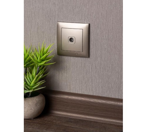 Валенсия лицевая панель розетки TV 1-местная 75Ом 5-862МГц кашемир EKF PROxima   ESA00-L-027-40   EKF