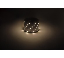Лента светодиодная  LS5050 -7,2-30-12-3000K-IP20-1 year-5m теплый белый 5м  Б0059915  ЭРА