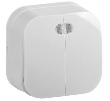 ВС20-2-1-ХБ Выключ. 2-кл. инд. о/у 10А GLORY белый  EVH21-K01-10  IEK