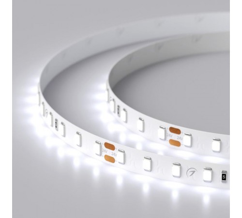 Лента светодиодная RT 2-5000 24V Cool 8K 1.6x (2835, 490 LED, PRO) (arlight, 10 Вт/м, IP20)  019912(1)  Arlight