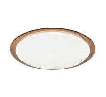 Светильник светодиодный декоративный бытовой SPB-6 "Saturn" 70Вт 3000-6500К 5950 Лм с пультом ДУ кор. 556x76 мм  Б0036368  ЭРА