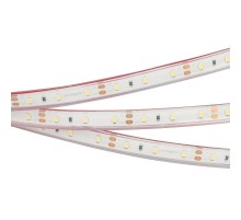 Светодиодная лента герметичная RTW-PFS-A60-11mm 12V White6000 (4.8 W/m, IP68, 2835, 5m) (Arlight, -)  034006  Arlight