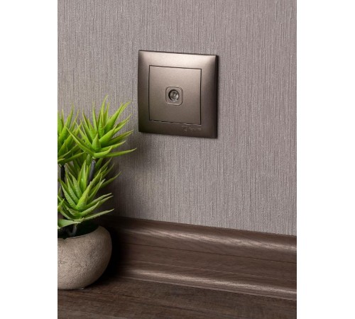 Валенсия лицевая панель розетки TV 1-местная 75Ом 5-862МГц графит EKF PROxima   ESA00-L-027-60   EKF