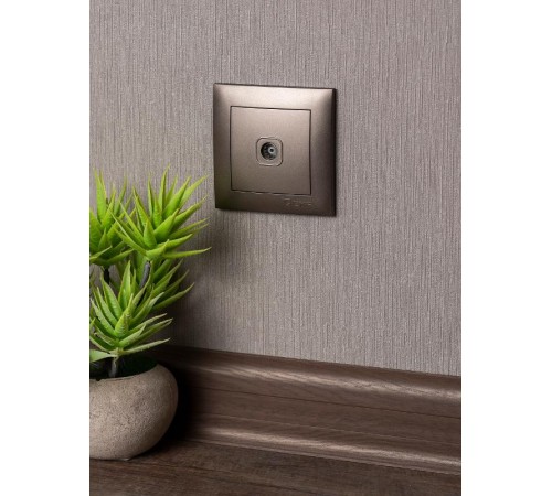 Валенсия лицевая панель розетки TV 1-местная 75Ом 5-862МГц графит EKF PROxima   ESA00-L-027-60   EKF