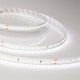 Лента светодиодная IC 2-50000 48V Day4000 12mm (2835, 144 LED/m, LUX)  026833  Arlight