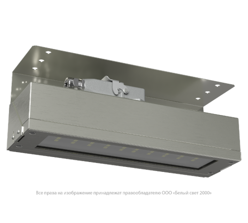 Указатель аварийный светодиодный BS-DBU-10-L2-ELON 10,6Вт централизованный накладной IP66  a18759  Белый свет